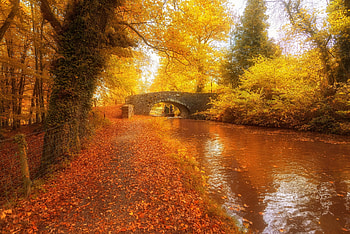 Autumn River, USA, Autumn, River, Bridge, Trees HD wallpaper