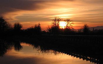 Nature, Trees, Sunset, Sky, Bush, Reflection, Outlines HD wallpaper