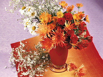 Flowers, Roses, Chrysanthemum, Vase, Daisies HD wallpaper