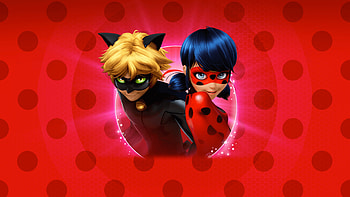 Ladybug HD wallpaper
