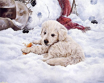 Oops, Got Hungry, snowman, carrot, puppy, painting, snow, scarf, hat HD wallpaper