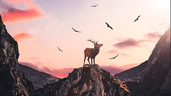 Reindeer Fantasy, reindeer, graphy, fantasy, artist, artwork, digital-art HD wallpaper