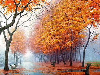 October morning, mist, october, colored, trees, autumn, orange, walkway, park benches HD wallpaper