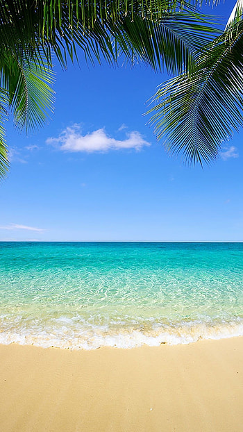 Beach Background, Beach, Background HD phone wallpaper