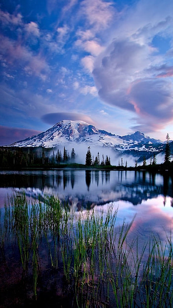 Nature, Beautiful Natural Nature HD phone wallpaper
