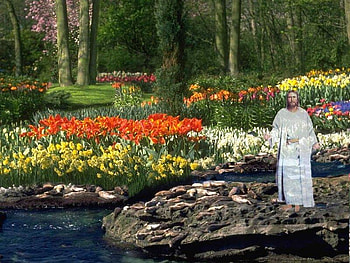 Reflections of Love 3, trees, christ, beautiful, flowers, christian, water, rocks HD wallpaper