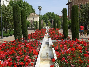 Cordoba, spain, rose garden, water, andalucia HD wallpaper