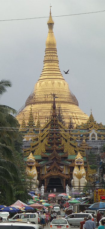 Shwedagon Pagoda, , Serene beauty HD phone wallpaper