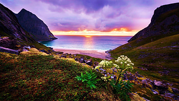 Lonesome Beach, sunset, coast, wildflowers, sea, clouds, colors, sky HD wallpaper