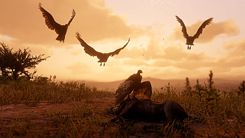 Red Dead Redemption 2, Red Dead, Video Game HD wallpaper
