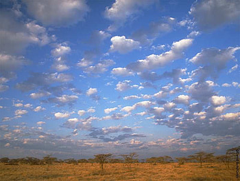 sky, none HD wallpaper