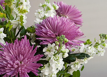 Flowers, Chrysanthemum, Close-Up, Bouquet HD wallpaper
