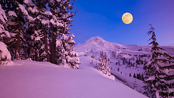 Full Moon Rising, mountains, snow, evening, trees, landscape, sky HD wallpaper