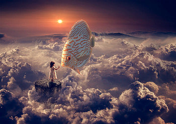 Fantasy, Sky, Clouds, Miscellanea, Miscellaneous, Girl, Fish HD wallpaper