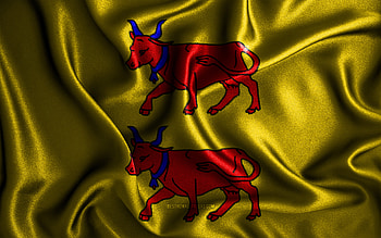 Bearn flag, , silk wavy flags, french provinces, Flag of Bearn, fabric flags, Day of Bearn, 3D art, Bearn, Europe, Provinces of France, Bearn 3D flag, France HD wallpaper