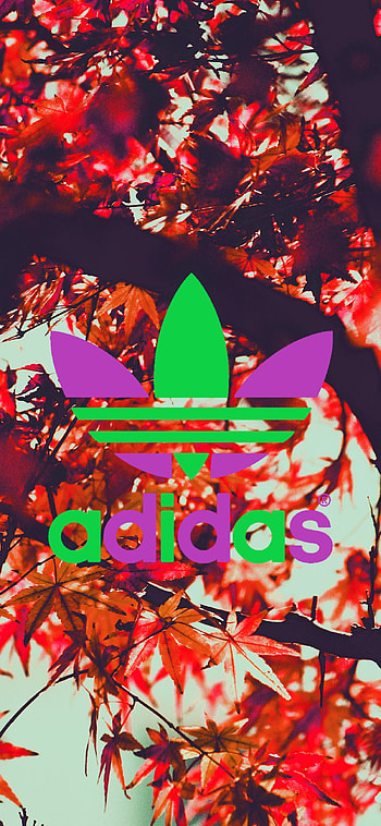 Autumn Leaves Adidas Background, man made HD phone wallpaper