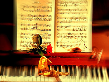 Love On A Piano, rose, model, piano, love, romance, sarah, wine HD wallpaper