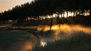 forest, river, fun, cool, nature HD wallpaper