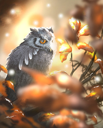 Art, Owl, Bird, Branch HD phone wallpaper