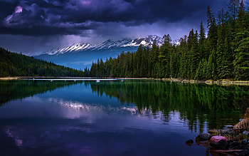 Amazing place for weekend, water, lake, cloud, tree HD wallpaper