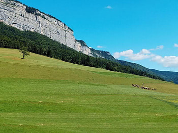 Country of the Vercors, grass, sky, field, mountain HD wallpaper