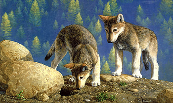 Young Wolf Pups, sweet, Young pups, Outdoors, painting, nature, Wolfs, wilderness, wild HD wallpaper