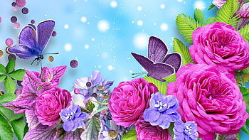 Colorful Garden Flowers, petals, blossoms, digital, roses, butterfly, art HD wallpaper