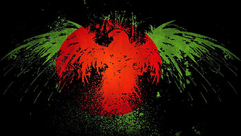Bangladesh Flag Pics HD wallpaper