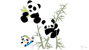 Panda & Bamboo, China, bear, endagnered, cute, bamboo, panda, play, tree HD wallpaper