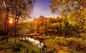 Autumn scenery, rays, colorful, sunlight, glow, peaceful, serenity, tranquil, scenery, reflection, trees, autumn, golden, fall, lake, mountain, branches, forest HD wallpaper