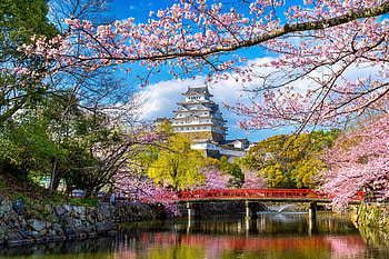 Sakura Tree Temple Japan, Sakura, Japan, Temple, Tree HD wallpaper