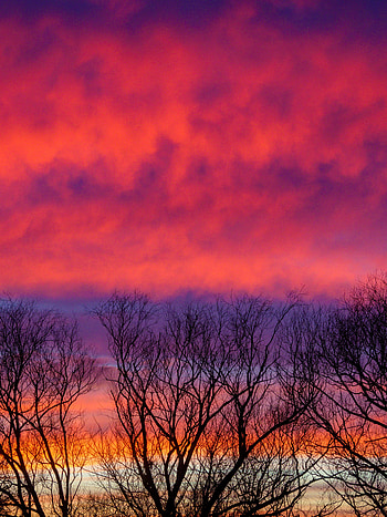Nature, Trees, Sky, Twilight, Clouds, Dark, Dusk HD phone wallpaper