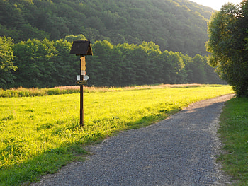 Nature, Trees, Grass, Road, Sign, Meadow HD wallpaper