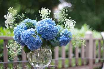 Flowers, Bouquet, Vase, Hydrangea, Sharpness HD wallpaper