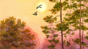 Skywatercolor, watercolor, sky, bird, sun HD wallpaper