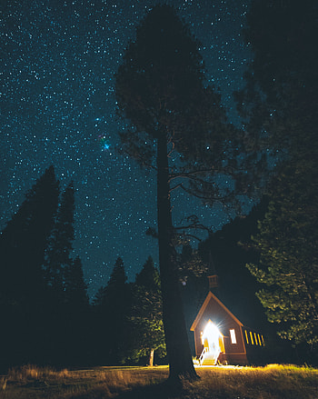 Nature, Night, Forest, Starry Sky, Small House, Lodge HD phone wallpaper