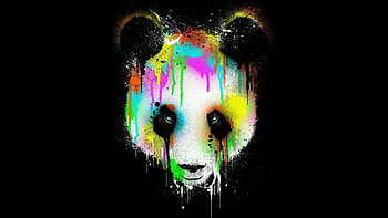 Fondo de pantalla | Fondo de Escritorio ID:524941. Animales Panda HD wallpaper