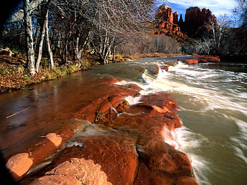 Nature, Water, Trees, Stones, Shore, Bank, Canyons HD wallpaper