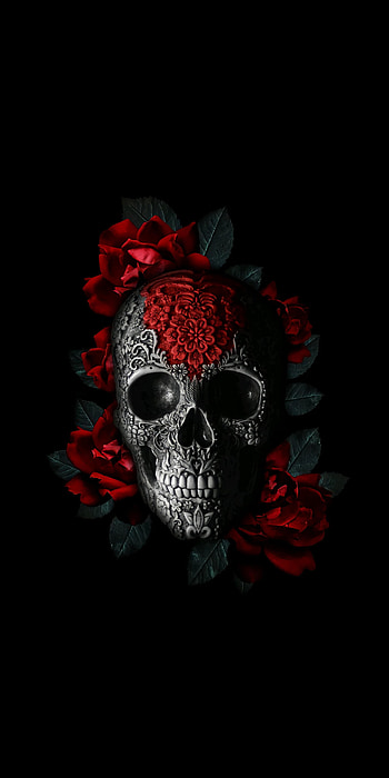Skull, head, art HD phone wallpaper