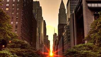 sunset in manhattan, trees, skyscrapers, city, sunset HD wallpaper