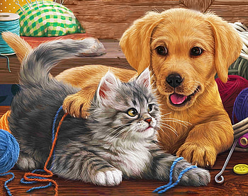 8, dogs, cats, beautiful, animals HD wallpaper