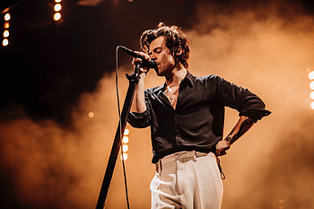Harry Styles, Celebrities, Social media, hoots HD wallpaper