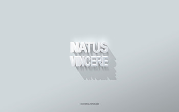 Natus vincere, white background, Natus vincere 3d inscription, 3d art, white 3d letters, 3d Natus vincere HD wallpaper