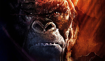 2017 Kong Skull Island, kong-skull-island, 2017-movies HD wallpaper