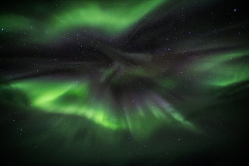 Aurora Green, aurora, artist, artwork, digital-art HD wallpaper