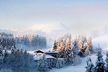Heavy Snow Fall, snow fall, beautiful, heavy HD wallpaper