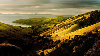 Nature, Trees, Hills, Lowland HD wallpaper