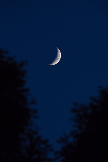 Sky, Night, Moon, Dark, Outlines, Crescent HD phone wallpaper