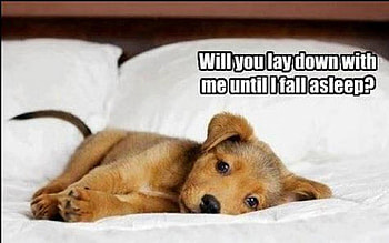 Yes I Will :) ! HD wallpaper