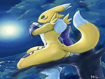Renamon in the moonlight, renamon, moon HD wallpaper